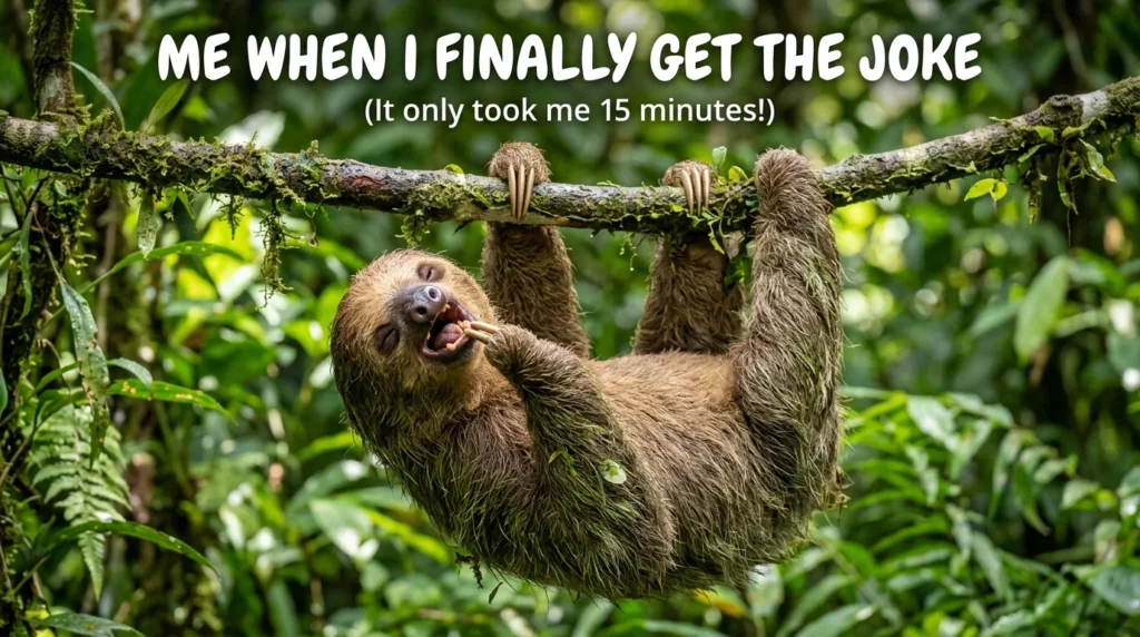 Sloth Jokes