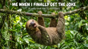 Sloth Jokes